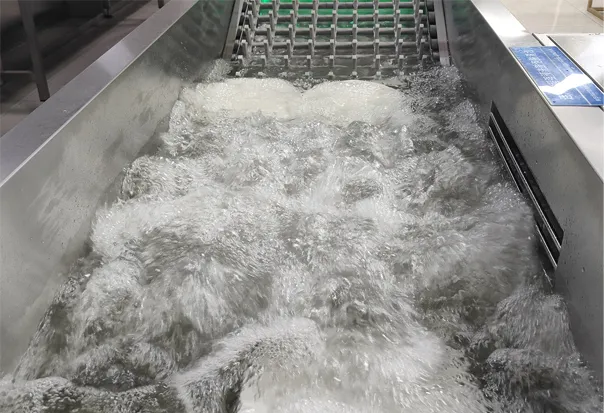 Flight Type Dishwashers Mes-S6