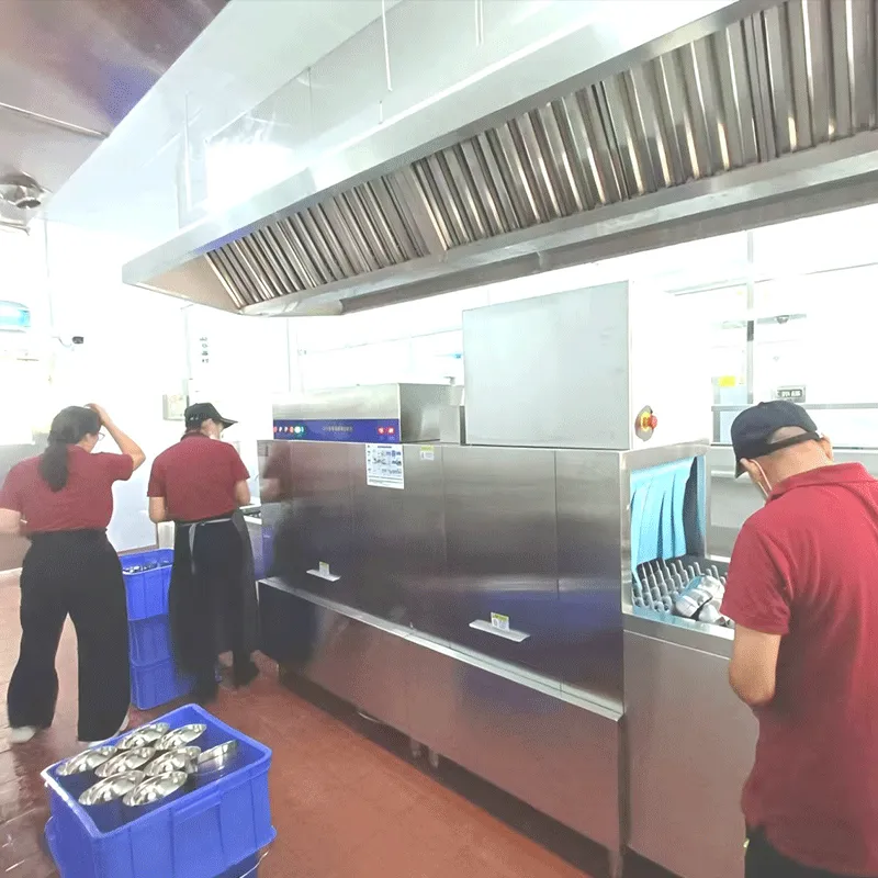 3D Layout & Simulation