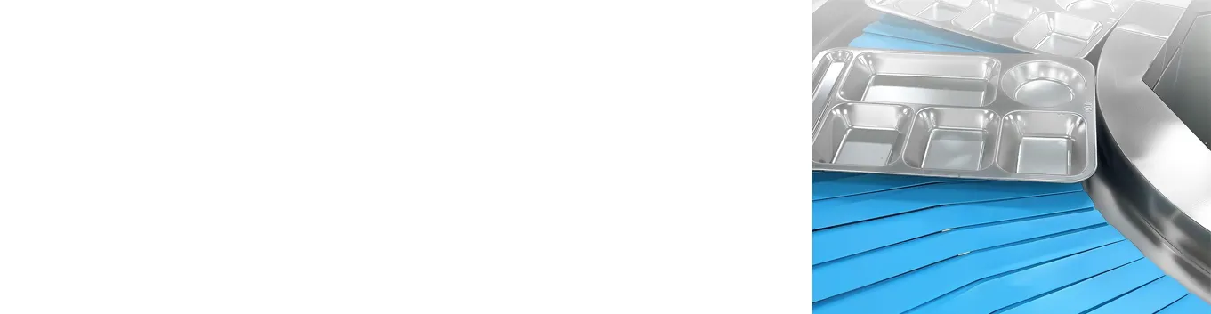 Features of Tray Return Conveyor Mes-A8