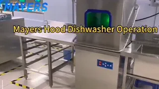 Hood Type Dishwasher